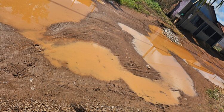 Vereador Pedro Geovar solicita pavimentação da Rua América do Sul, no bairro Três Marias