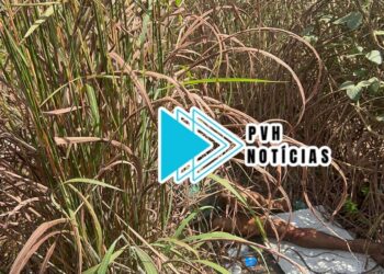 URGENTE: Vulgo “Polaco” é agredido com tijoladas na cabeça em matagal na zona leste