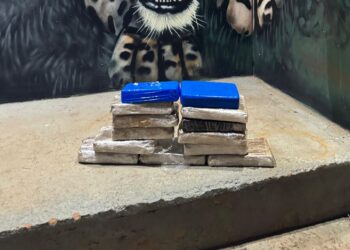 PROTETOR DAS FRONTEIRAS: Passageiro de ônibus é preso com 13kg de drogas em RO