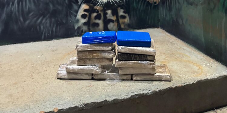 PROTETOR DAS FRONTEIRAS: Passageiro de ônibus é preso com 13kg de drogas em RO