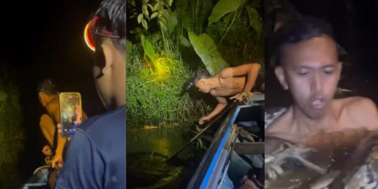 Jovem é atacado por cobra gigante após cair de canoa durante pescaria na madrugada; veja vídeo