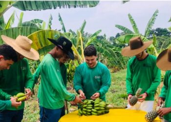 Inscrições para cursos profissionalizantes em bioeconomia, em Porto Velho, seguem até sexta-feira, 6