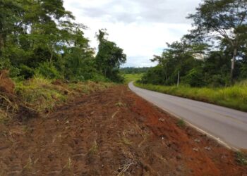 Após solicitação do deputado Alan Queiroz, DER conclui serviços de manutenção na RO-267