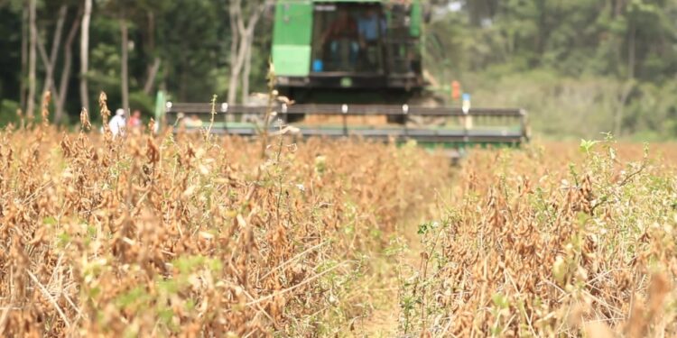 Investimentos para Rio Crespo: Deputado Alan Queiroz destina R$ 100 mil para aquisição de implementos agrícolas ao município