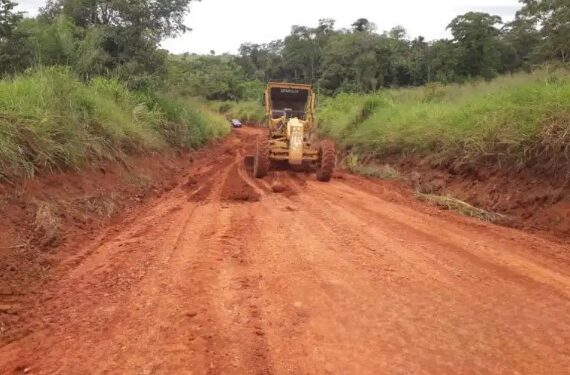 Deputado Luizinho Goebel solicita melhorias na RO-495 entre Parecis e Chupinguaia