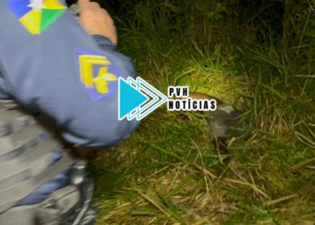 ATUALIZADA: Vulgo “Zé pretinho” é amordaçado, amarrado e morto a tiros no Orgulho do Madeira