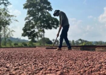 Agricultura fortalecida: deputado Alan Queiroz investe mais de R$ 9,5 milhões na agricultura do estado de Rondônia