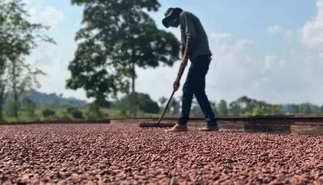 Agricultura fortalecida: deputado Alan Queiroz investe mais de R$ 9,5 milhões na agricultura do estado de Rondônia