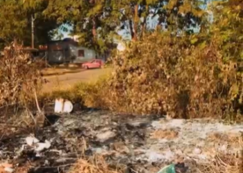 Vereador Edimilson Dourado denuncia formação de lixão em frente a residências no Bairro Castanheira e cobra providências imediatas