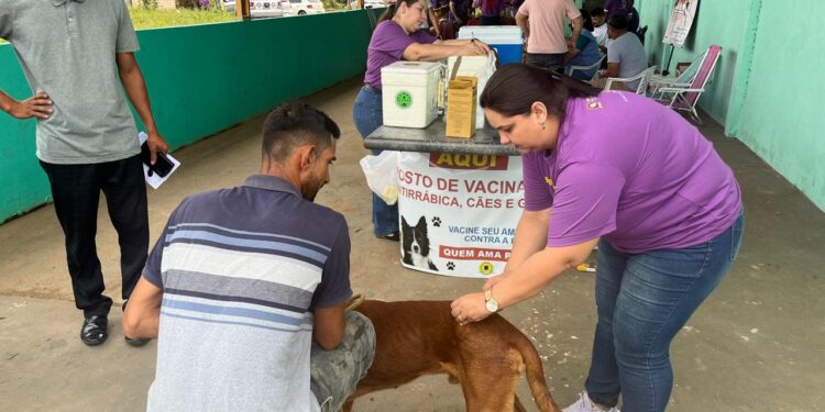 LEVE SEU PET: Vacinação antirrábica continua na capital com atendimento ampliado