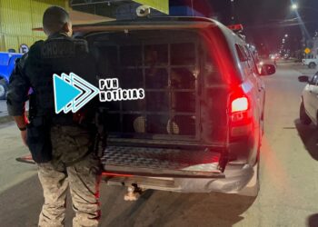 DEU NOME FALSO: Foragido que se passava pelo irmão é preso pelo BPChoque na zona leste