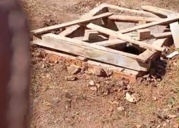 Pedido de providência do vereador Pedro Geovar resulta em ação da Semusb no Aponiã