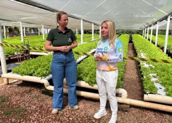 Ieda Chaves investe mais de R$ 90 mil para fortalecer produção agrícola em Nova Mutum Paraná
