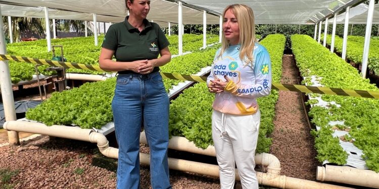 Ieda Chaves investe mais de R$ 90 mil para fortalecer produção agrícola em Nova Mutum Paraná