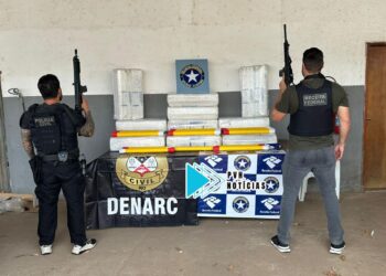 BR-319: Operação da Receita Federal e Denarc faz grande apreensão de skunk em Porto Velho