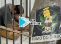 BECO LIMEIRA: BPTAR flagra “Mr Bean do CV” com drogas dentro da pochete