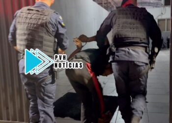 FLAGRANTE: Ladrão é preso enquanto fazia a limpa em lanchonete na zona leste