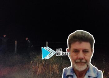 NÃO RESISTIU: Agricultor é encontrado morto após ataque de abelhas em fazenda