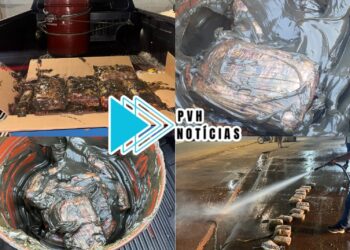 URGENTE: Ação conjunta entre PCRO e PCAC apreende 20kg de drogas em Porto Velho