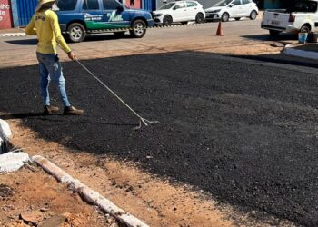 Vereador Pedro Geovar garante recapeamento e tapa-buracos na Rua Peroba