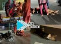 ANIMAL MORREU: Motociclista sofre grave acidente ao atropelar cachorro na Avenida Abunã