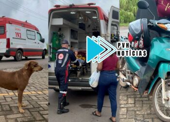 SOLTA NA VIA: Cadela Caramelo causa queda de motociclista em frente de condomínio no Triângulo