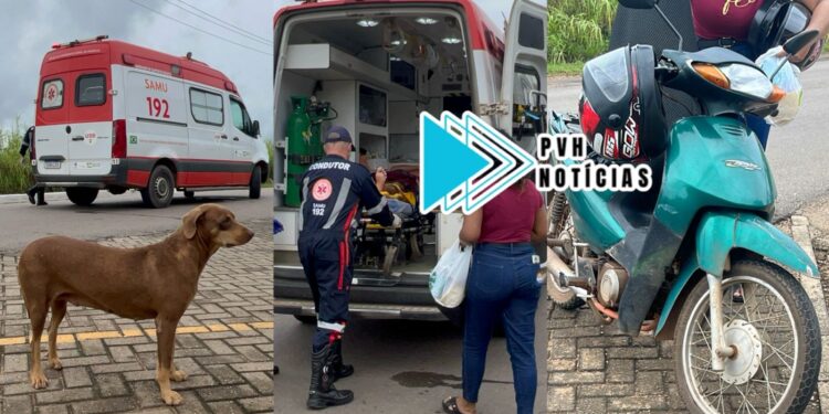 SOLTA NA VIA: Cadela Caramelo causa queda de motociclista em frente de condomínio no Triângulo