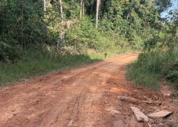 Deputado Alex Redano solicita melhorias na estrada de acesso ao Lago do Cuniã, em Porto Velho