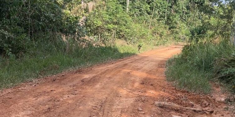Deputado Alex Redano solicita melhorias na estrada de acesso ao Lago do Cuniã, em Porto Velho