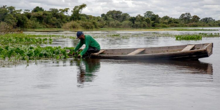 Apoio aos pescadores: Alan Queiroz solicita microcrédito para pescadores e piloteiros do estado de Rondônia