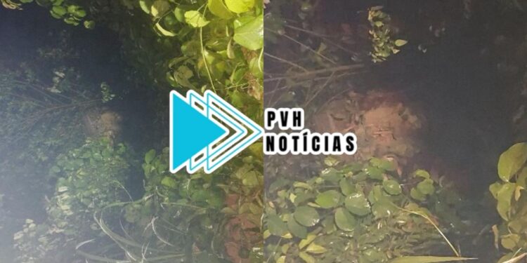 TRÁGICO: Passageira de Fiat Toro morre após acidente com capotamento em Candeias do Jamari