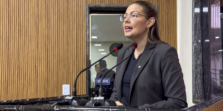 LEI DE SOFIA ANDRADE É SANCIONADA E PROMETE ACABAR COM A POLUIÇÃO VISUAL EM PORTO VELHO