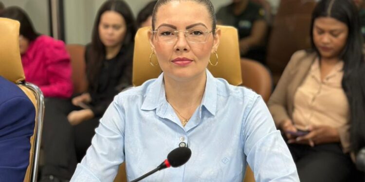 Sofia Andrade cobra demora do Executivo e cobra avanços concretos para a Guarda Municipal e a Atividade Delegada