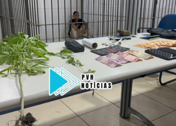 CULTIVANDO: BPTAR prende “Vitinho do CV” com pés de maconha e dinheiro argentino em boca de fumo