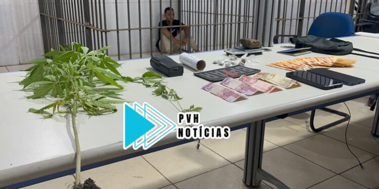 CULTIVANDO: BPTAR prende “Vitinho do CV” com pés de maconha e dinheiro argentino em boca de fumo