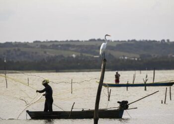 Gestão do seguro-defeso passa oficialmente ao Ministério do Trabalho