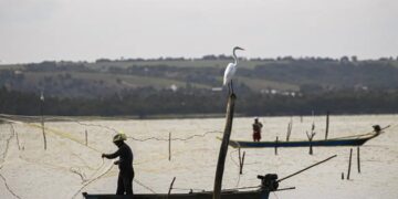 Gestão do seguro-defeso passa oficialmente ao Ministério do Trabalho