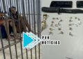 SPRAY DE PIMENTA:  Casal é preso com drogas e familiares investem contra a PM