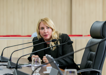 Ieda Chaves propõe Auxílio Material Escolar aos estudantes e priorização da economia local