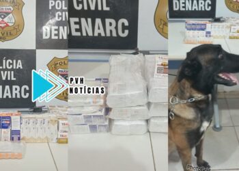 MOUNJARO: Denarc faz apreensão de emagrecedor ilegal em empresa no centro de Porto Velho