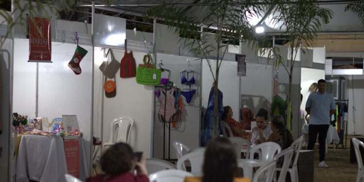 Ieda Chaves fortalece empreendedorismo ao destinar verba ao Festival Empreende Mulheres BVQQ