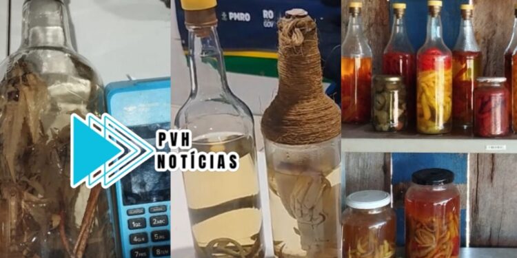 ERA AUTORIZADO: Mãe é presa por deixar filho adolescente usar drogas e ingerir bebida alcoólica com maconha