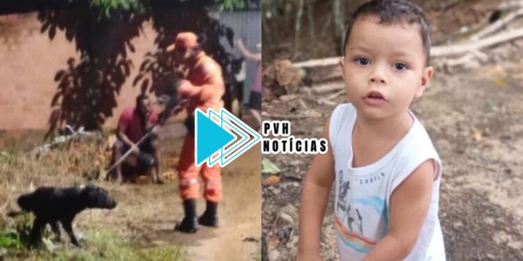 VÍDEO: Criança de 02 anos desaparece e mobiliza buscas em área de mata na zona leste