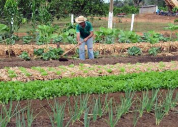 Deputado Alan Queiroz destina R$ 200 mil para aquisição de implementos agrícolas em Alto Paraíso