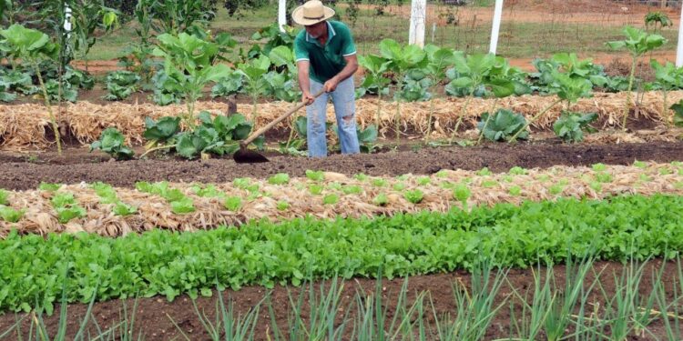Deputado Alan Queiroz destina R$ 200 mil para aquisição de implementos agrícolas em Alto Paraíso