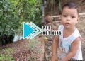 VÍDEO: Criança de 02 anos é encontrada morta afogada em córrego