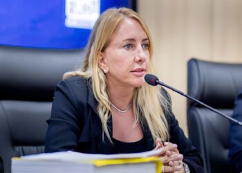 Deputada Ieda Chaves viabiliza substituição de ponte de madeira por estrutura metálica em Vale do Anari