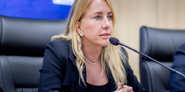 Deputada Ieda Chaves viabiliza substituição de ponte de madeira por estrutura metálica em Vale do Anari