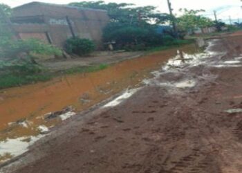 Vereador Gedeão Negreiros solicita obras urgentes de patrolamento e encascalhamento no bairro Marcos Freire