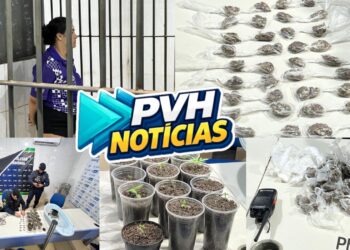 VÍDEO: Equipe do sgt Ribeiro prende mulher com porções de drogas e plantação de maconha